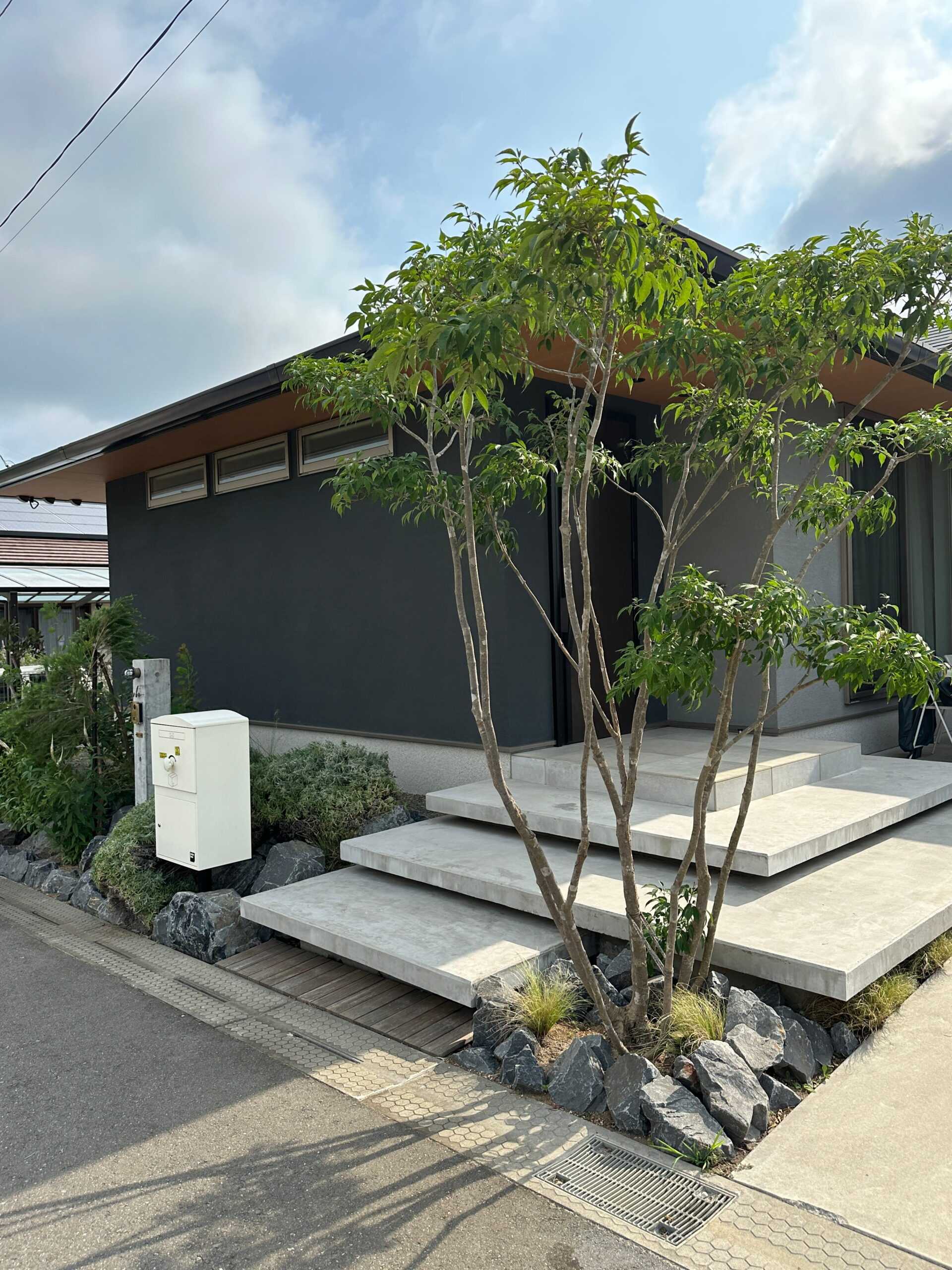 施工後の外構。大きなシンボルツリーと石組み、階段状の土間がある玄関アプローチ